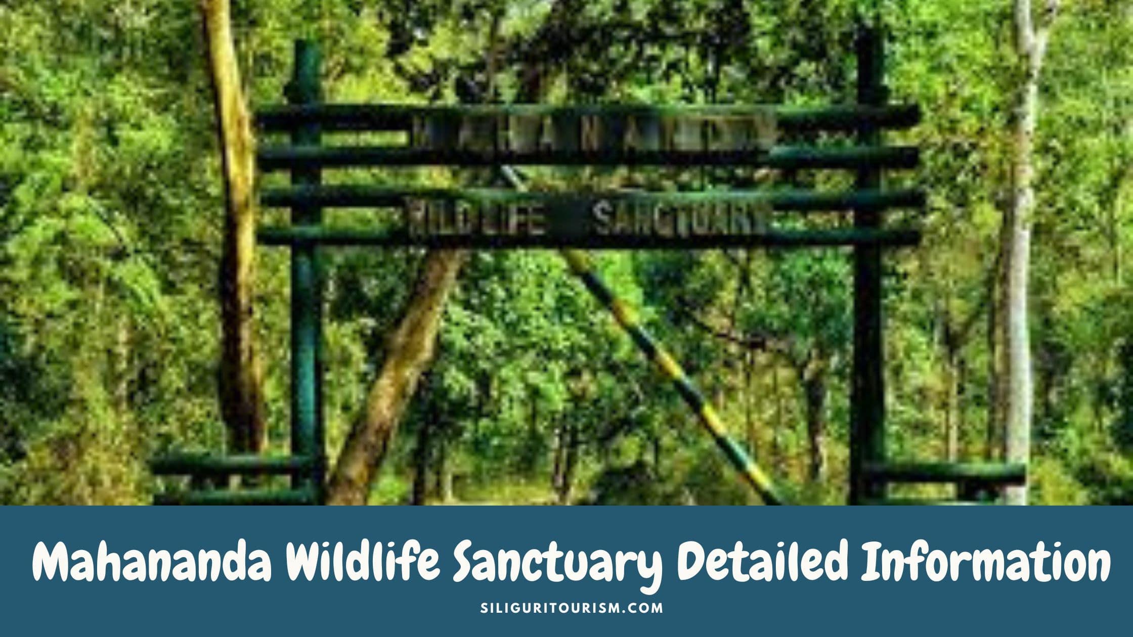 Mahananda Wildlife Sanctuary