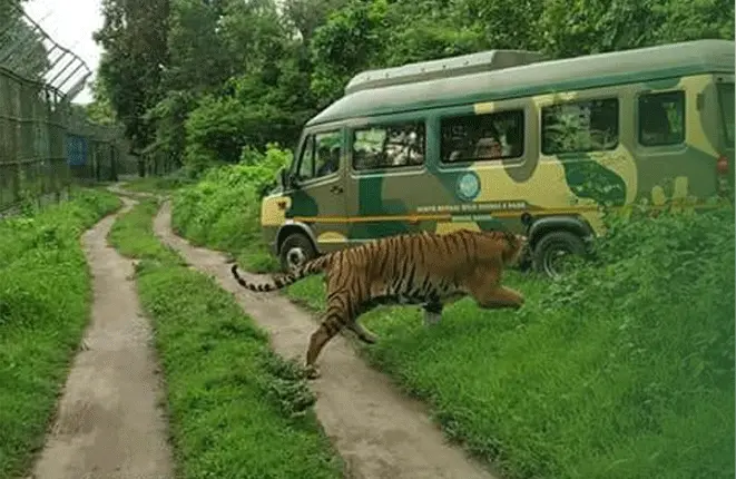 meaning of safari park in bengali