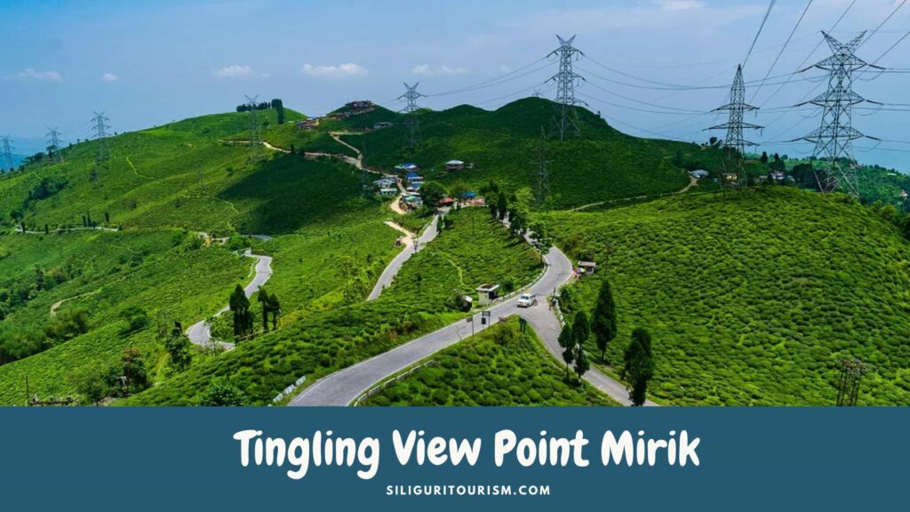 Tingling View Point