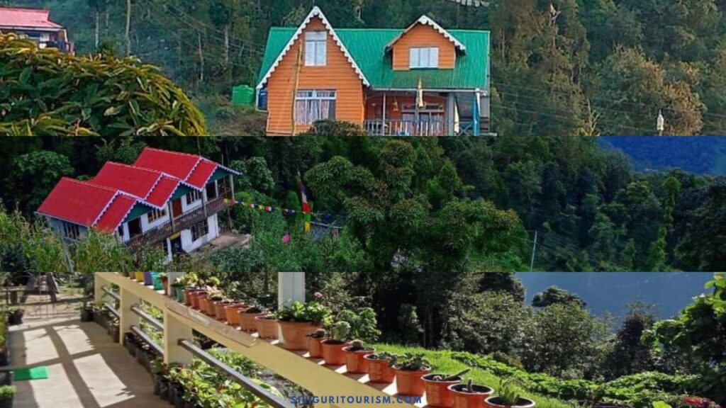 Hotels and Homestays in Dawaipani