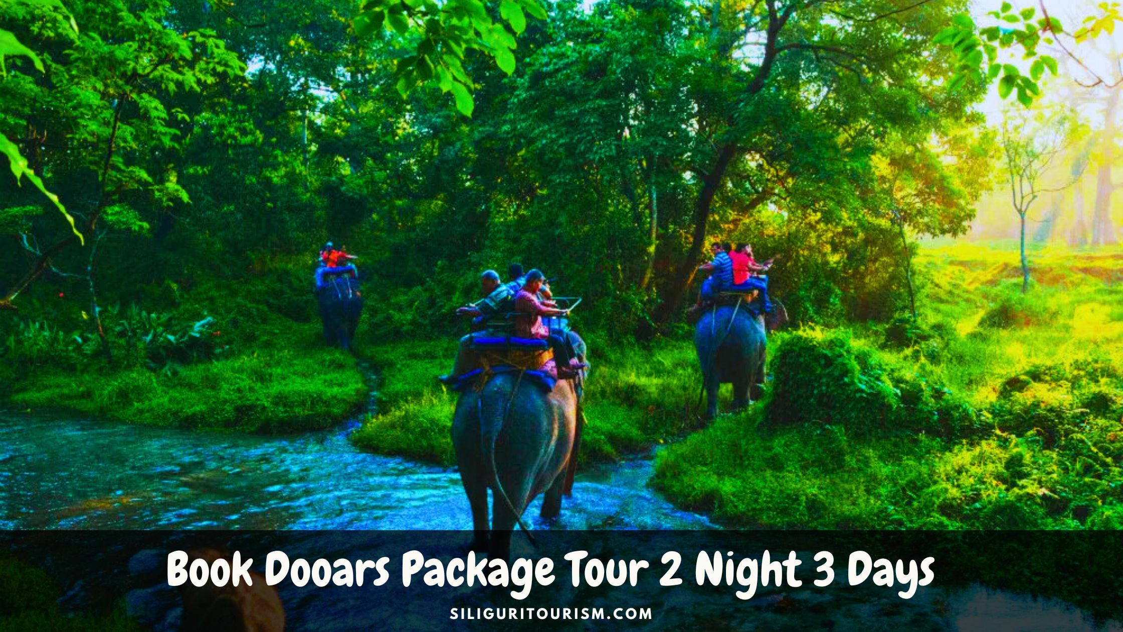 Dooars Package Tour 2 Night 3 Days