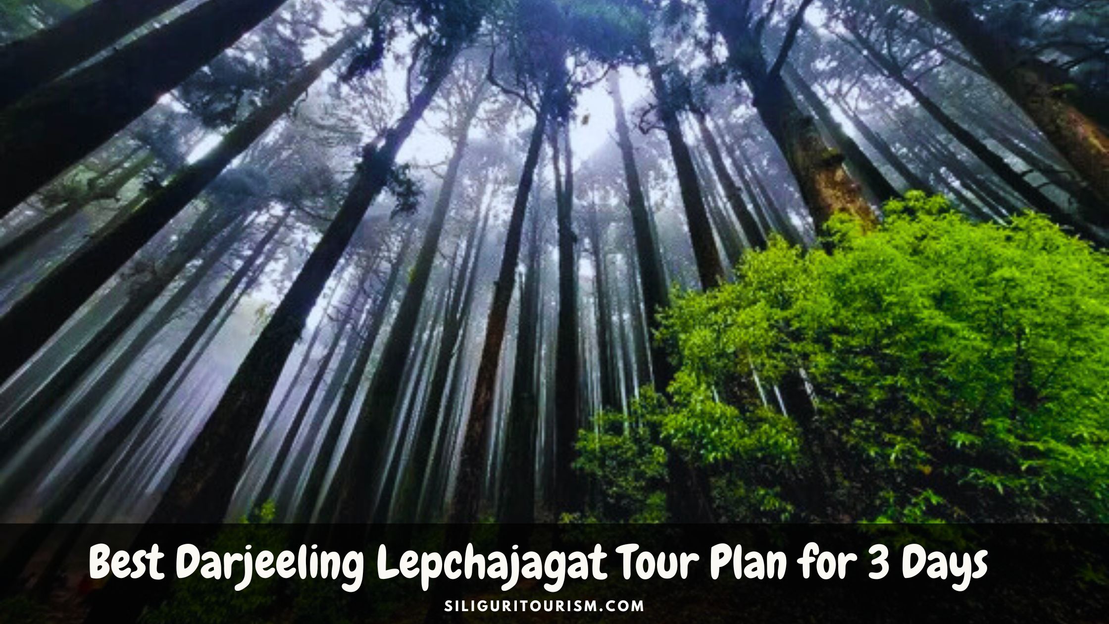 Darjeeling Lepchajagat Tour Plan for 3 Days