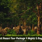 Best Dooars Tour Package 4 Nights 5 Days