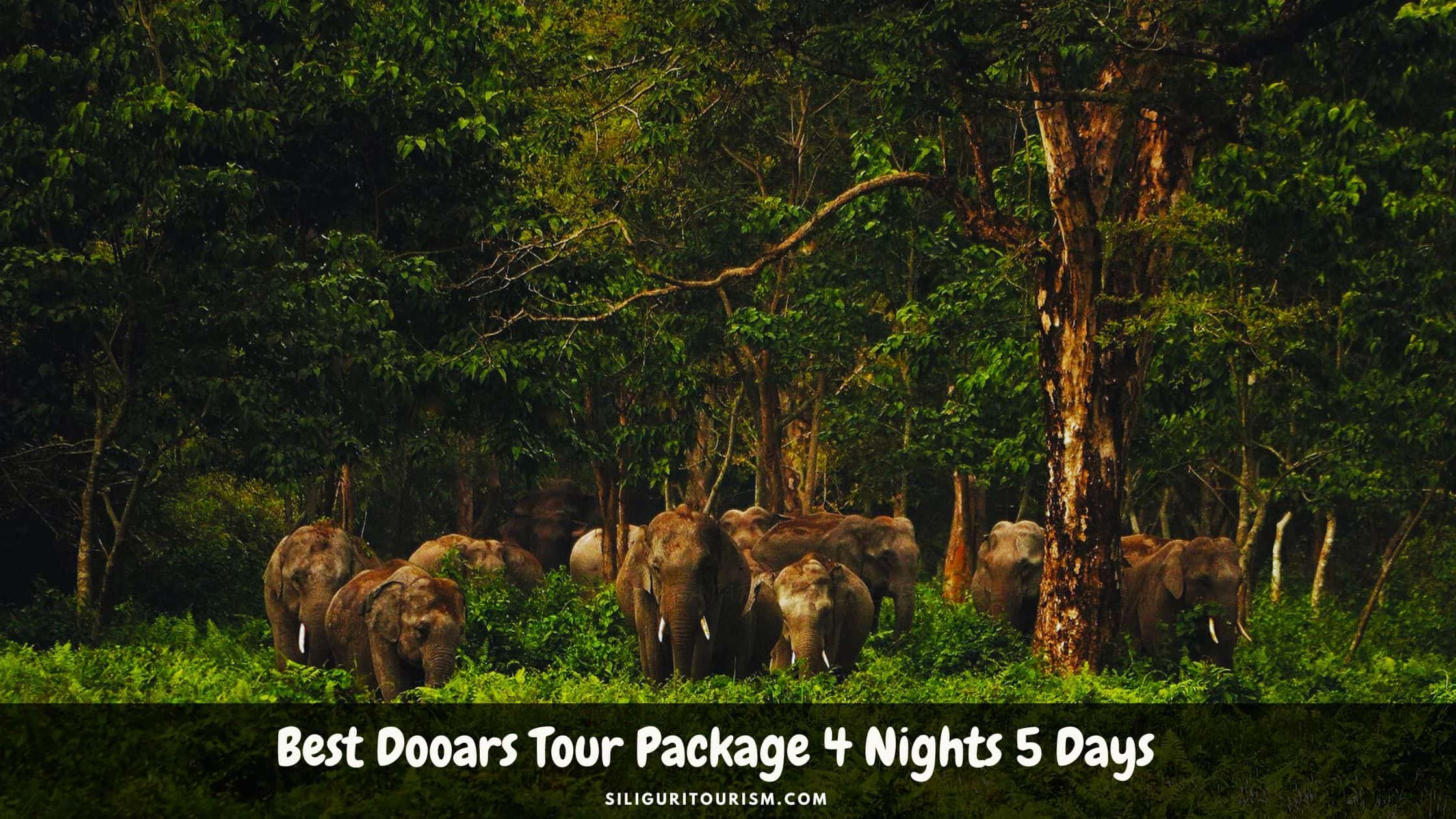 Best Dooars Tour Package 4 Nights 5 Days