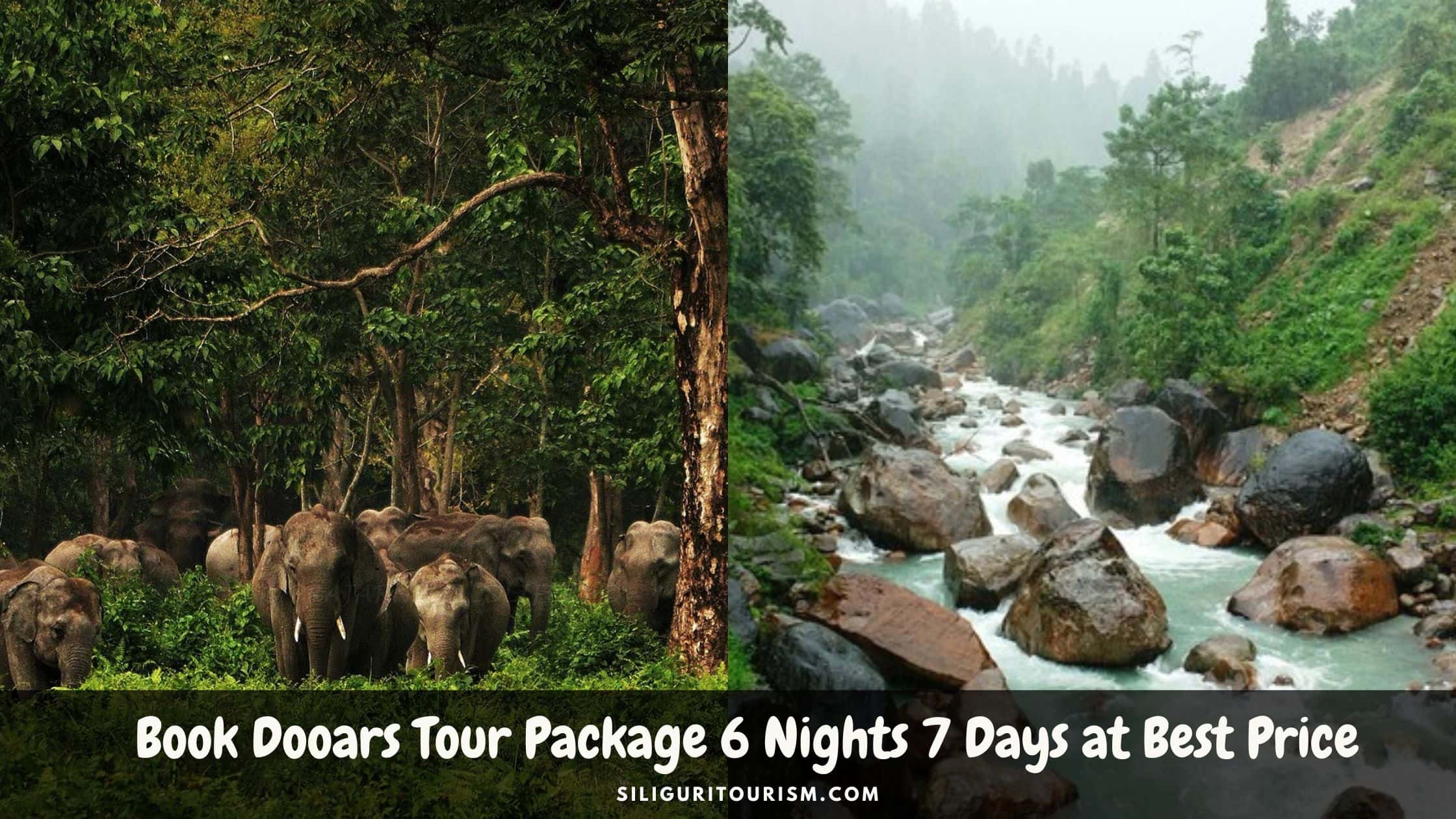 Dooars Tour Package 6 Nights 7 Days